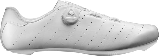 Cosmic Boa